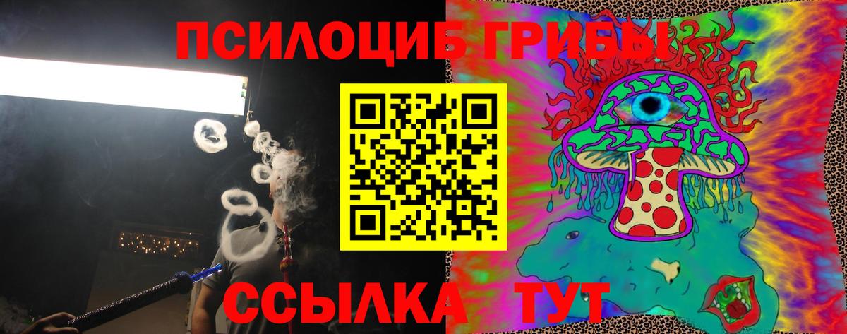 Людиново  Галлюциногенные грибы Psilocybine cubensis  Псилоцибиновые грибы ЛСД  Вход с VPN 